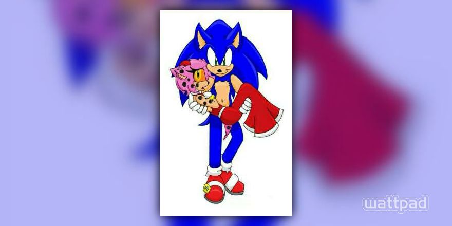 SonAmy.exe: My dead rose {Sequel to Sonamy.exe Love Story} - Ch 2