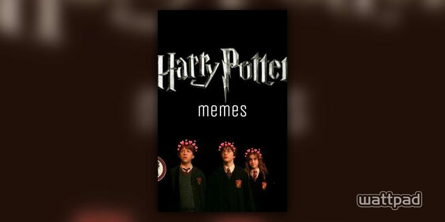 Sempre ❤️🏰 Via : Memes do Harry - Harry Potter-O Retorno