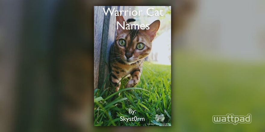 Warrior cat name generator (I Forgot 31- Alder) by XFadedEchoesX on  DeviantArt