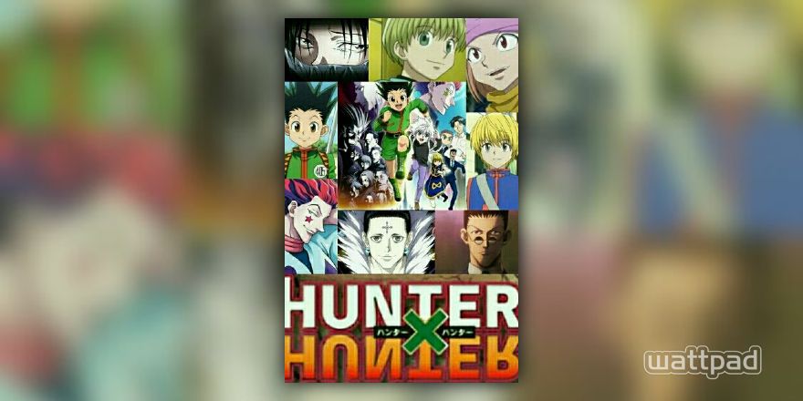 Hunter X Hunter: The Diary X Season 1 - Blerds Online
